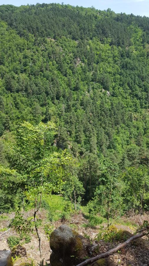 Se Reconnecter A La Nature Au Gite 3 Etoiles De Montager A Saint Andre De Chalencon المظهر الخارجي الصورة
