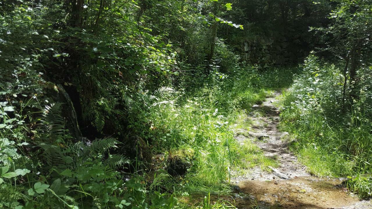 Se Reconnecter A La Nature Au Gite 3 Etoiles De Montager A Saint Andre De Chalencon المظهر الخارجي الصورة