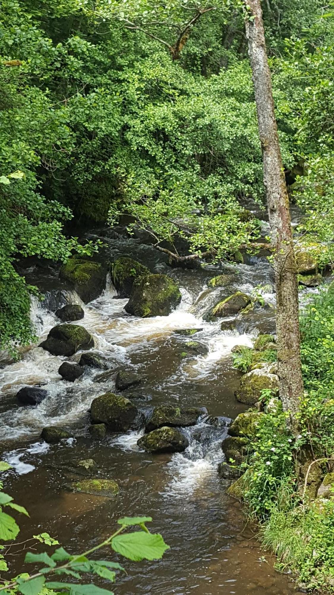 Se Reconnecter A La Nature Au Gite 3 Etoiles De Montager A Saint Andre De Chalencon المظهر الخارجي الصورة